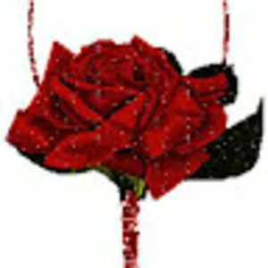 Meet your Posher, Jacguelyn